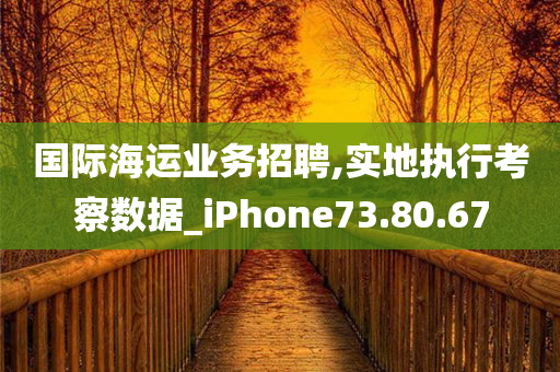 国际海运业务招聘,实地执行考察数据_iPhone73.80.67