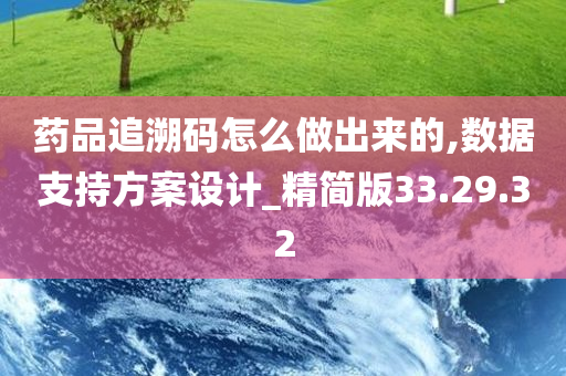 药品追溯码怎么做出来的,数据支持方案设计_精简版33.29.32