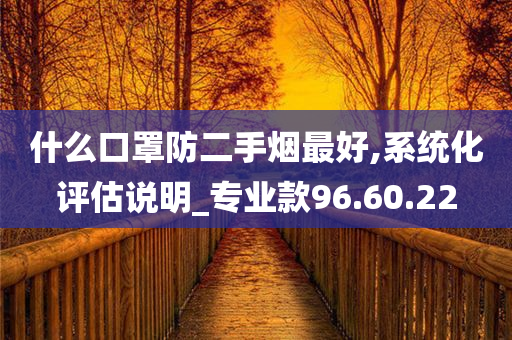 什么口罩防二手烟最好,系统化评估说明_专业款96.60.22