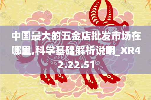 中国最大的五金店批发市场在哪里,科学基础解析说明_XR42.22.51