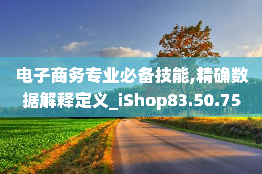 电子商务专业必备技能,精确数据解释定义_iShop83.50.75