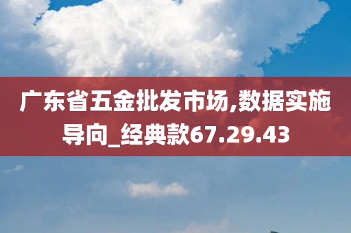 广东省五金批发市场,数据实施导向_经典款67.29.43