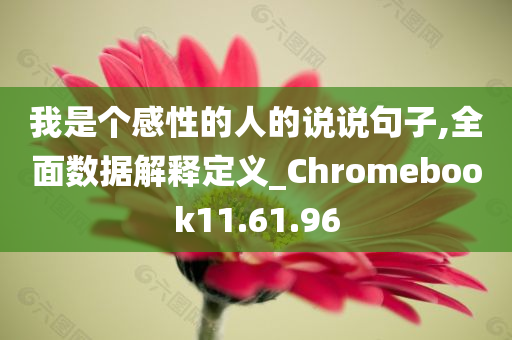 我是个感性的人的说说句子,全面数据解释定义_Chromebook11.61.96