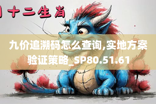 九价追溯码怎么查询,实地方案验证策略_SP80.51.61