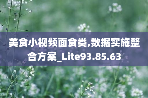 美食小视频面食类,数据实施整合方案_Lite93.85.63