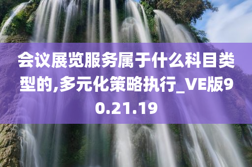 会议展览服务属于什么科目类型的,多元化策略执行_VE版90.21.19