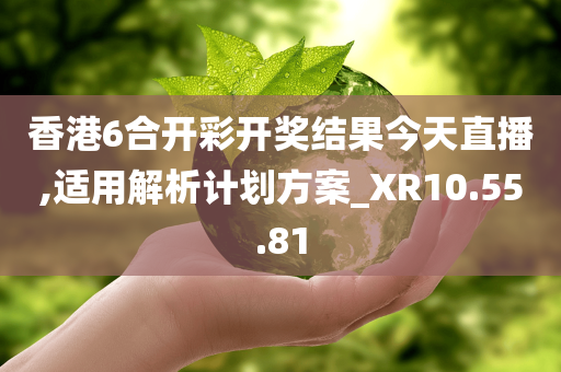 香港6合开彩开奖结果今天直播,适用解析计划方案_XR10.55.81