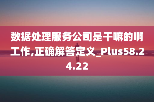 数据处理服务公司是干嘛的啊工作,正确解答定义_Plus58.24.22