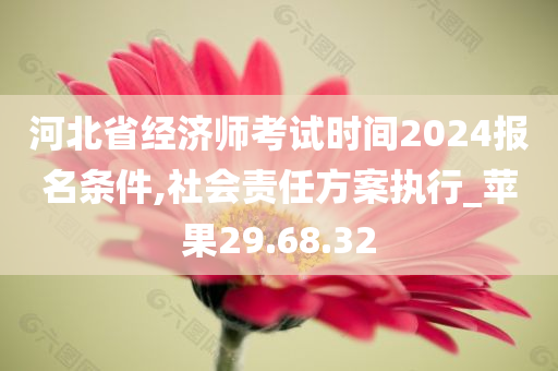 河北省经济师考试时间2024报名条件,社会责任方案执行_苹果29.68.32