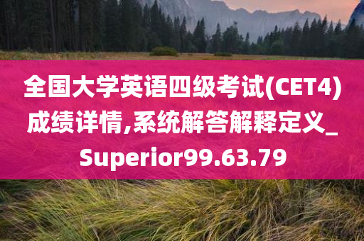 全国大学英语四级考试(CET4)成绩详情,系统解答解释定义_Superior99.63.79