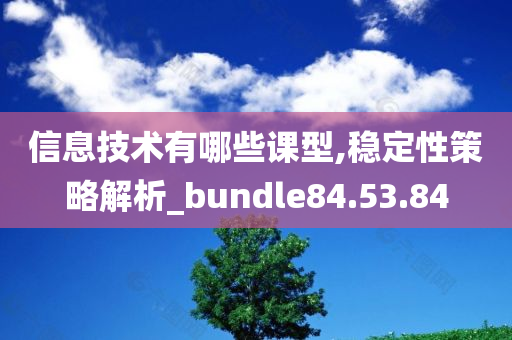 信息技术有哪些课型,稳定性策略解析_bundle84.53.84