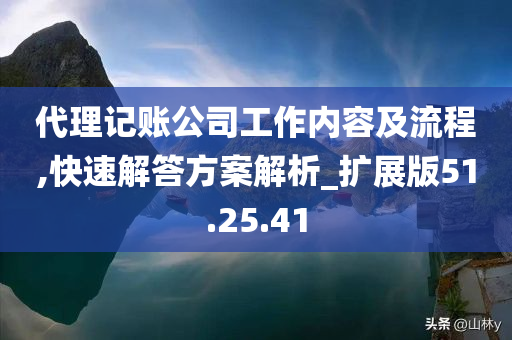 代理记账公司工作内容及流程,快速解答方案解析_扩展版51.25.41