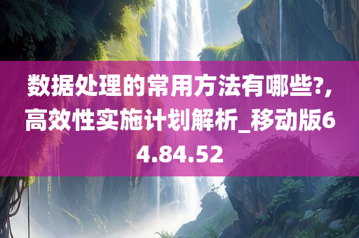 数据处理的常用方法有哪些?,高效性实施计划解析_移动版64.84.52