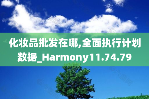 化妆品批发在哪,全面执行计划数据_Harmony11.74.79