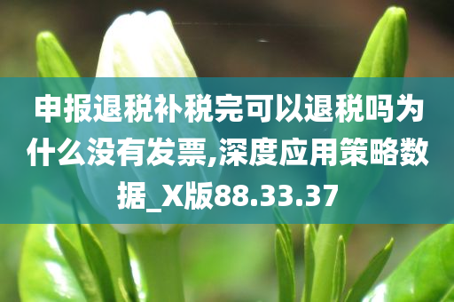 申报退税补税完可以退税吗为什么没有发票,深度应用策略数据_X版88.33.37