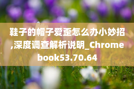 鞋子的帽子爱歪怎么办小妙招,深度调查解析说明_Chromebook53.70.64