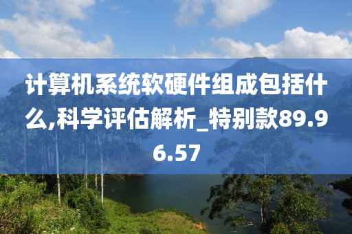 计算机系统软硬件组成包括什么,科学评估解析_特别款89.96.57