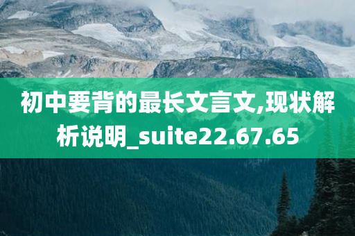 初中要背的最长文言文,现状解析说明_suite22.67.65