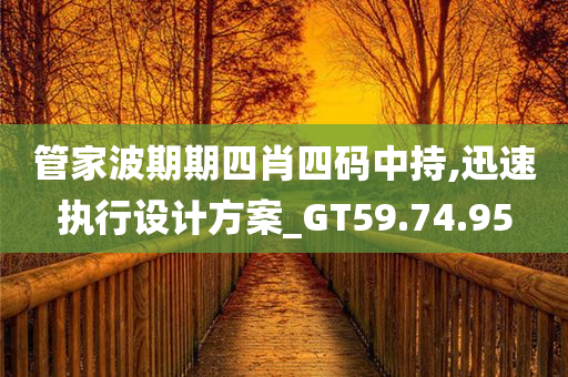 管家波期期四肖四码中持,迅速执行设计方案_GT59.74.95