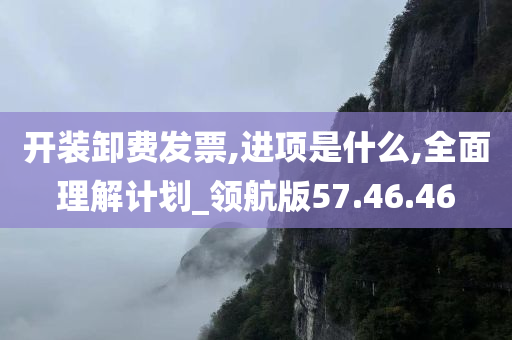 开装卸费发票,进项是什么,全面理解计划_领航版57.46.46