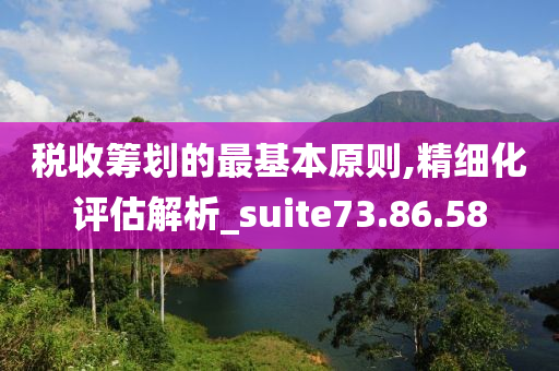 税收筹划的最基本原则,精细化评估解析_suite73.86.58