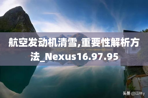 航空发动机清雪,重要性解析方法_Nexus16.97.95