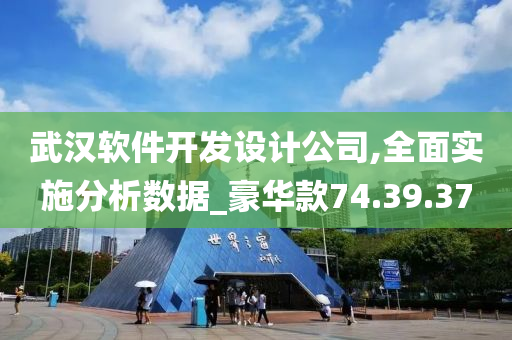 武汉软件开发设计公司,全面实施分析数据_豪华款74.39.37