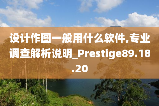 设计作图一般用什么软件,专业调查解析说明_Prestige89.18.20