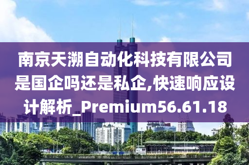 南京天溯自动化科技有限公司是国企吗还是私企,快速响应设计解析_Premium56.61.18