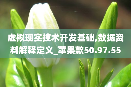 虚拟现实技术开发基础,数据资料解释定义_苹果款50.97.55