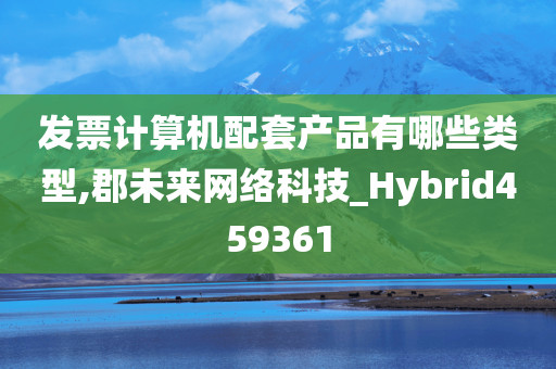 发票计算机配套产品有哪些类型,郡未来网络科技_Hybrid459361