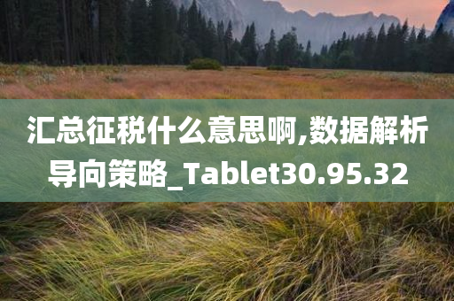 汇总征税什么意思啊,数据解析导向策略_Tablet30.95.32