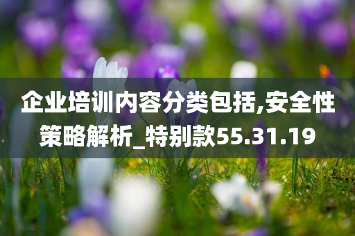 企业培训内容分类包括,安全性策略解析_特别款55.31.19