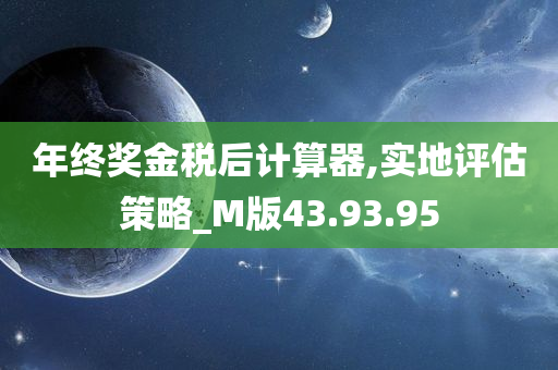 年终奖金税后计算器,实地评估策略_M版43.93.95