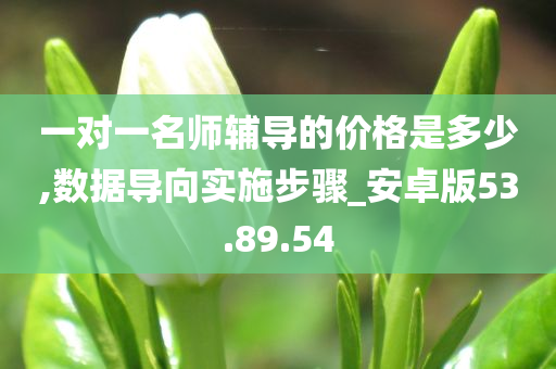 一对一名师辅导的价格是多少,数据导向实施步骤_安卓版53.89.54