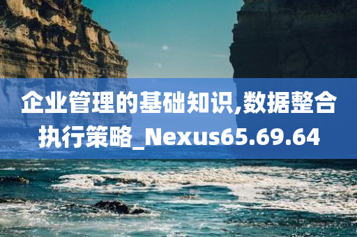 企业管理的基础知识,数据整合执行策略_Nexus65.69.64