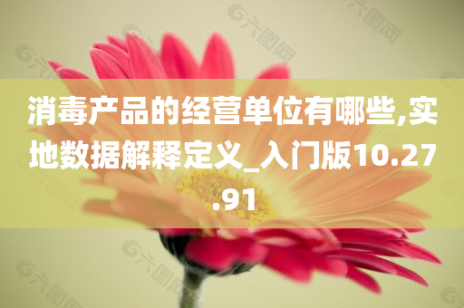 消毒产品的经营单位有哪些,实地数据解释定义_入门版10.27.91