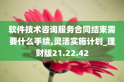 软件技术咨询服务合同结束需要什么手续,灵活实施计划_理财版21.22.42