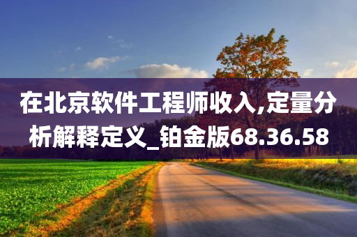 在北京软件工程师收入,定量分析解释定义_铂金版68.36.58