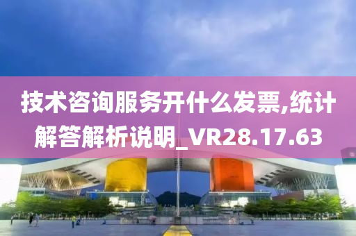 技术咨询服务开什么发票,统计解答解析说明_VR28.17.63