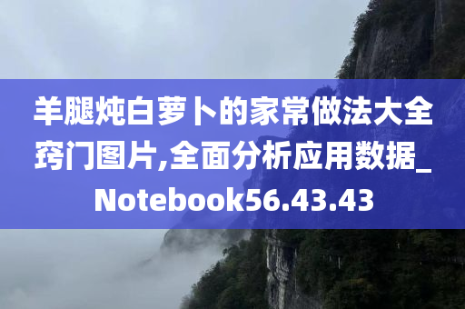 羊腿炖白萝卜的家常做法大全窍门图片,全面分析应用数据_Notebook56.43.43