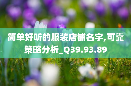 简单好听的服装店铺名字,可靠策略分析_Q39.93.89