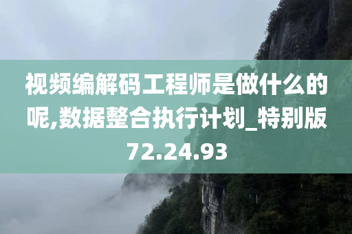 视频编解码工程师是做什么的呢,数据整合执行计划_特别版72.24.93