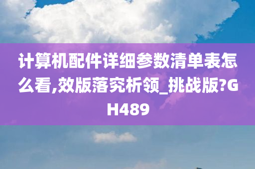 计算机配件详细参数清单表怎么看,效版落究析领_挑战版?GH489