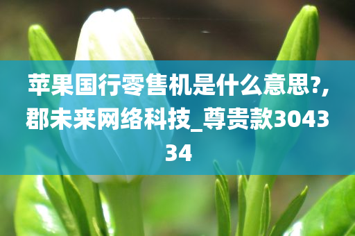 苹果国行零售机是什么意思?,郡未来网络科技_尊贵款304334