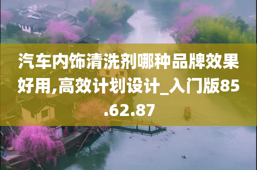 汽车内饰清洗剂哪种品牌效果好用,高效计划设计_入门版85.62.87