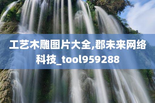 工艺木雕图片大全,郡未来网络科技_tool959288