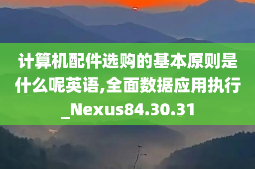 计算机配件选购的基本原则是什么呢英语,全面数据应用执行_Nexus84.30.31