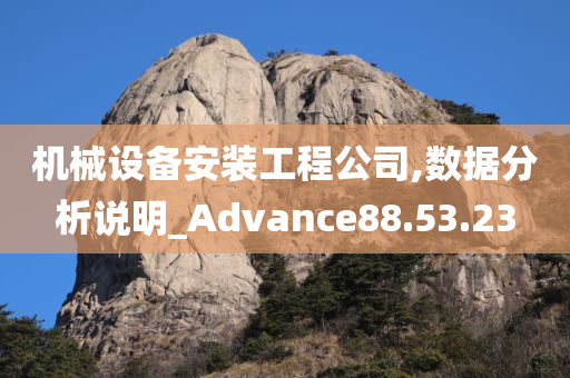 机械设备安装工程公司,数据分析说明_Advance88.53.23