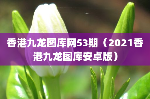 香港九龙图库网53期（2021香港九龙图库安卓版）